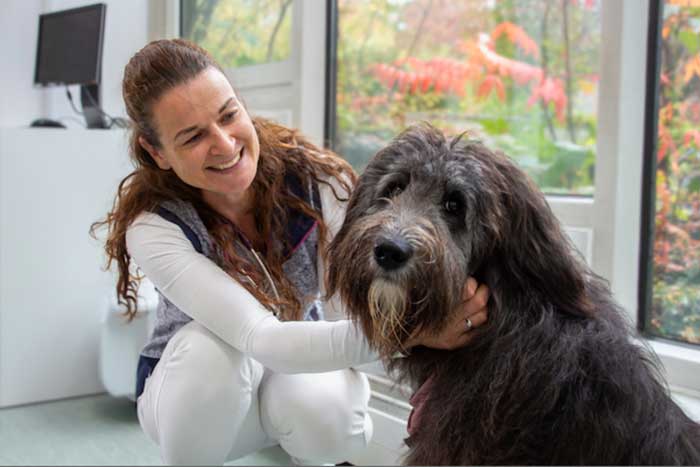 Aufmacher_Susanne-Sauter