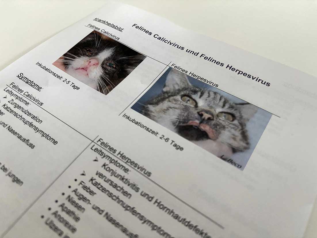 Jede*r Auszubildende erarbeitete einen eigenen Kurzvortrag inklusive Handout, der im Anschluss gemeinsam reflektiert wurde.