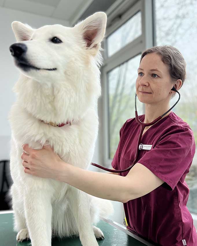 Tierärztin Katharina Hofgärtner, Tierklinik Ismaning. Foto: Amelie Massard / Tierklinik Ismaning