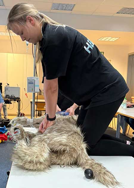 Intensives RECOVER-Reanimationstraining für Tierärztinnen, Tierärzte und Tiermedizinische Fachangestellte am Simulator2.