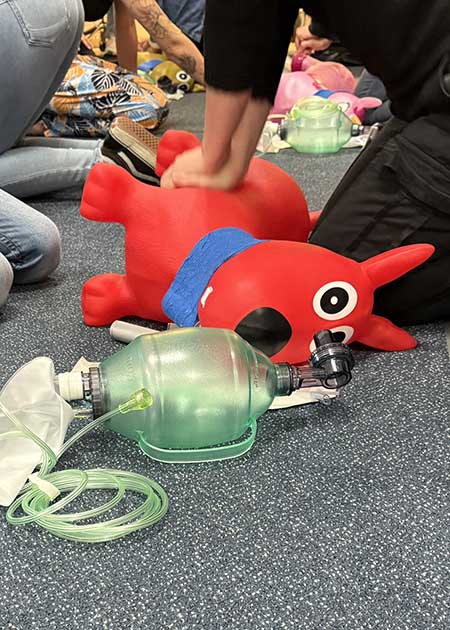 Intensives RECOVER-Reanimationstraining für Tierärztinnen, Tierärzte und Tiermedizinische Fachangestellte am Dummy.