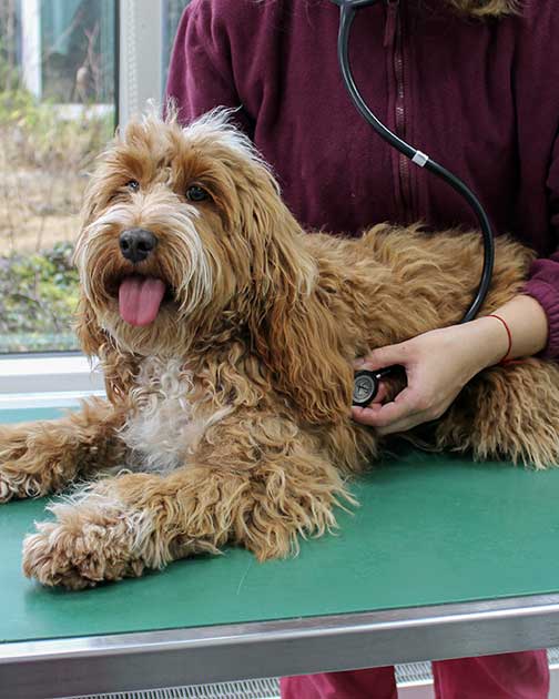 Neu: Samstagssprechstunde mit internistischer Oberärztin