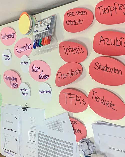 Workshop_Fit-fürs_anleiten-Tierklinik Ismaning