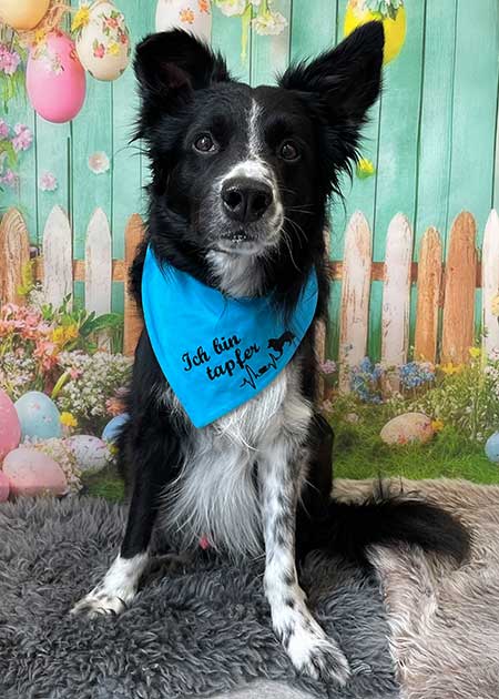 Max Re-Operation Oberschenkeltrümmerbruch