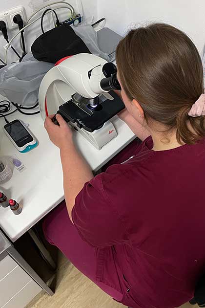 Dr. B&ouml;hme untersucht einen Abstrich im Labor unter dem Mikroskop.