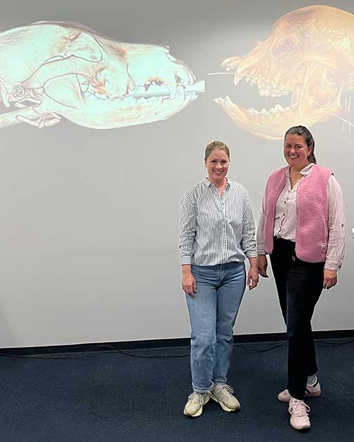 Dr. Vera Morbach und Dr. Anna Layer beim Fortbildungsabend der Tierklinik Ismaning zum Thema brachyzephale Hunde.