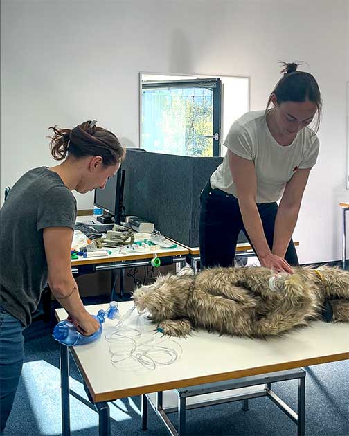 Zwei TFA der Tierklinik Ismaning üben bei einer RECOVER-Rescuer-Fortbildung die Reanimation an einer lebensechten Simulationspuppe.